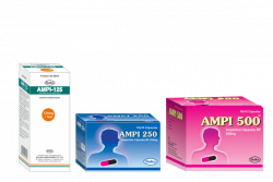 Ampi-1